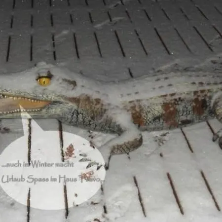 Prázdninový dům In Kuhklingen Mit Grosser Terrasse By Interhome